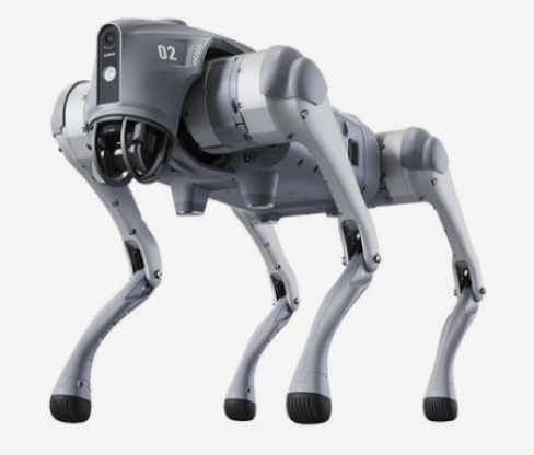 Quadruped robot
